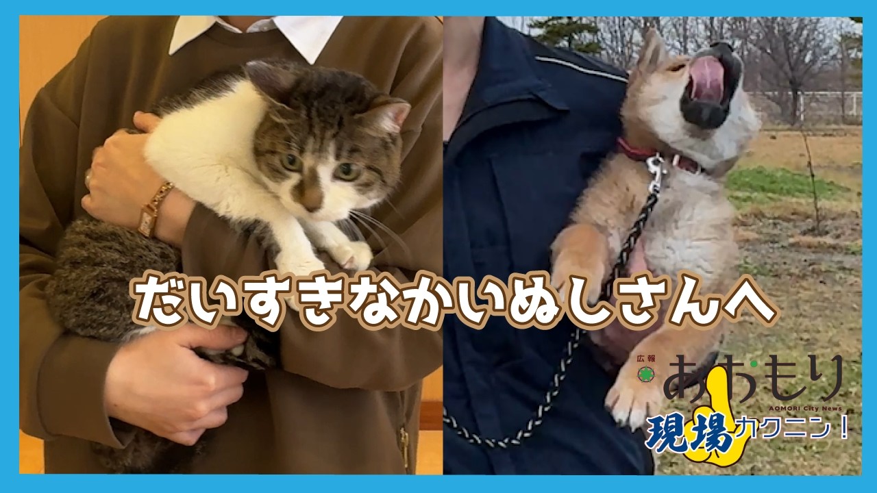 ペットの飼い方、確認しませんか？｜広報現場カクニンR8.2月号