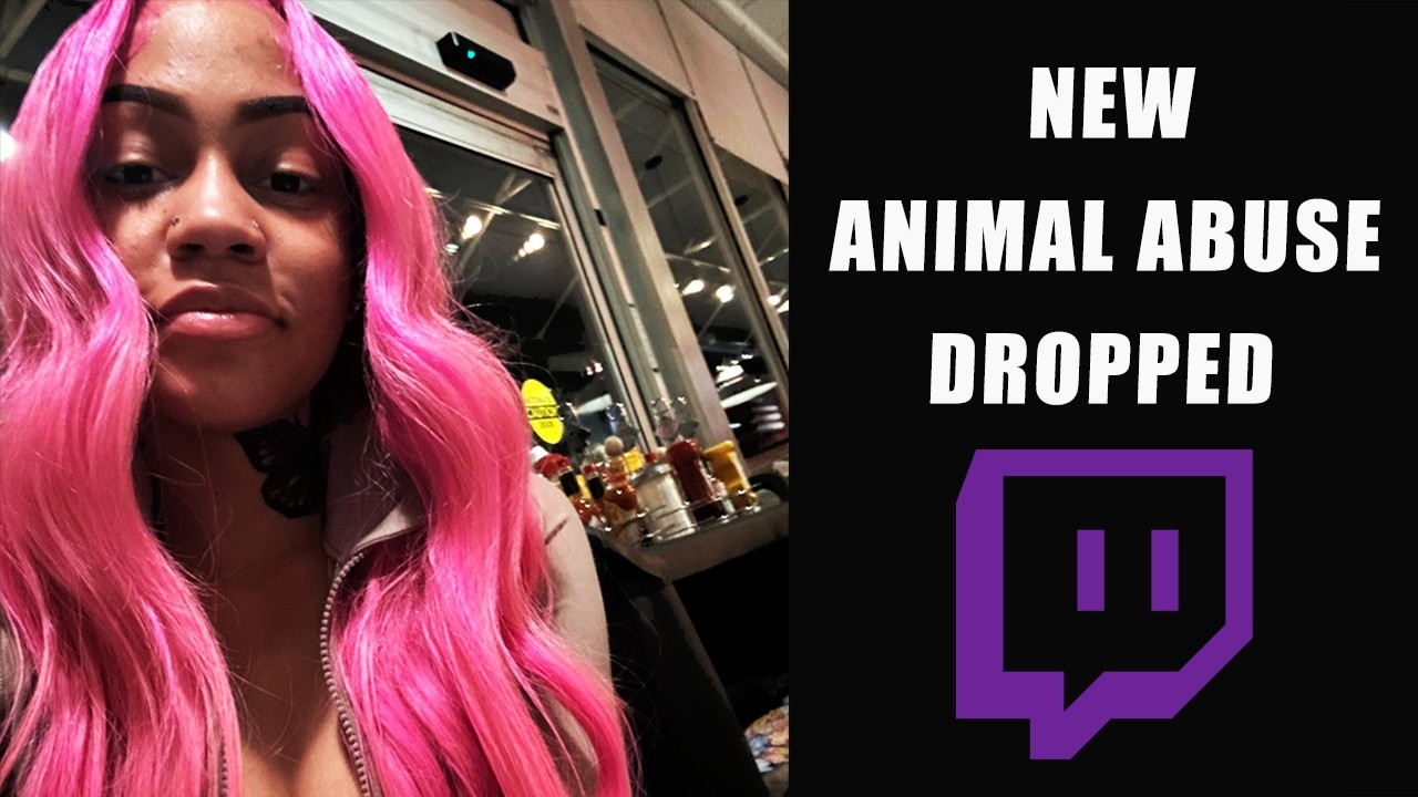 New Twitch Animal Abuse Situation (Aspen Kartier)