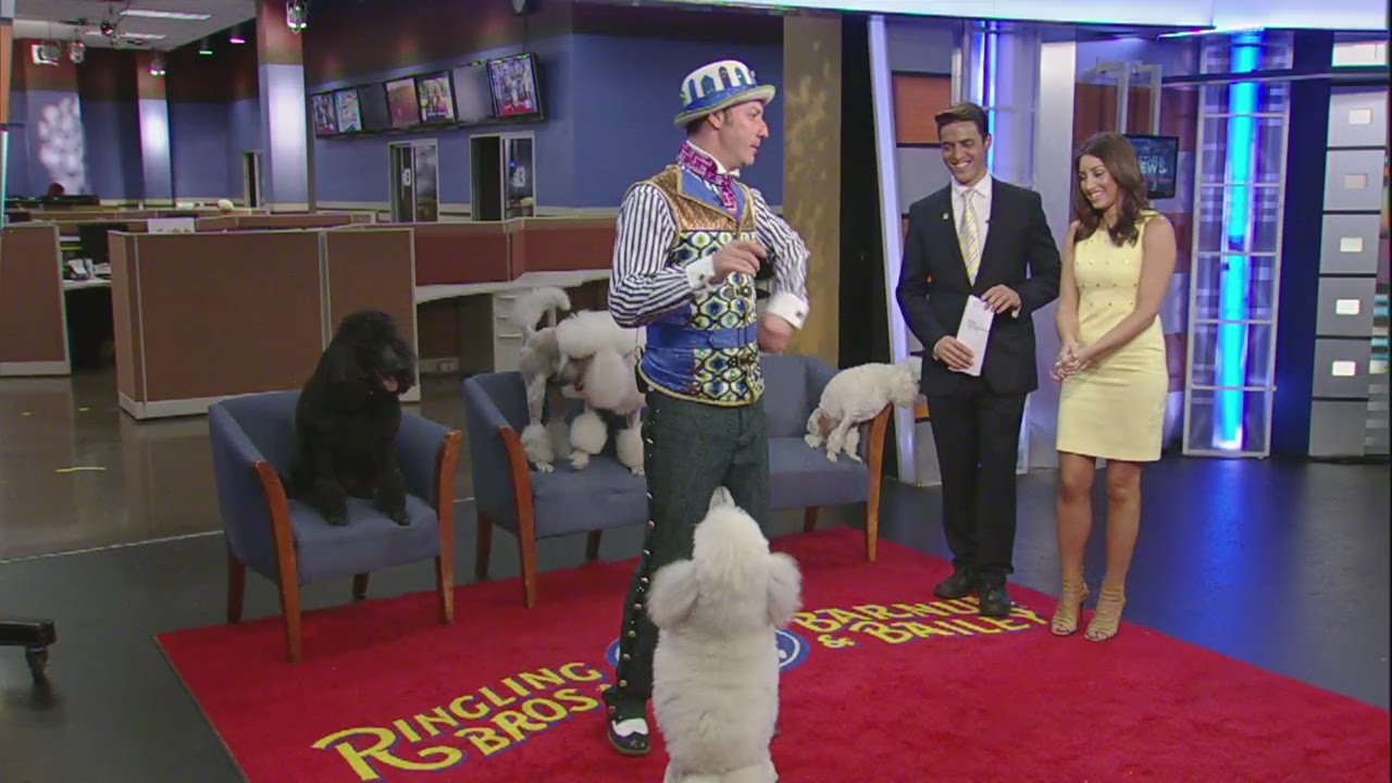 Dog trainer Alex Emelin shows some tricks