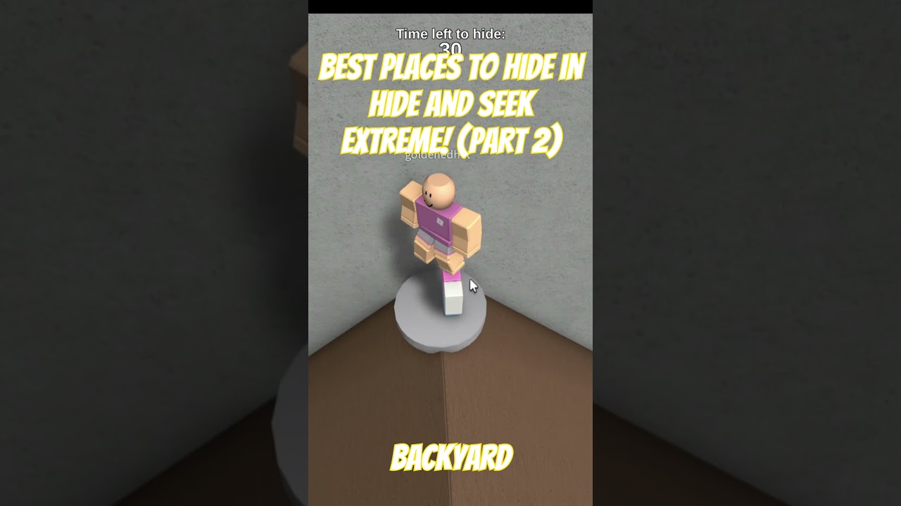 BEST PLACES TO HIDE IN HIDE AND SEEK EXTREME [VOL 1]