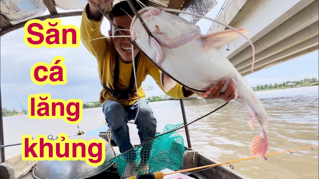Săn Cá Lăng Đuôi Đỏ-Sông Tiền Cầu Rạch Miễu-Đụng Cá To Chạy Khỏe Lắm @Xuanthuong91