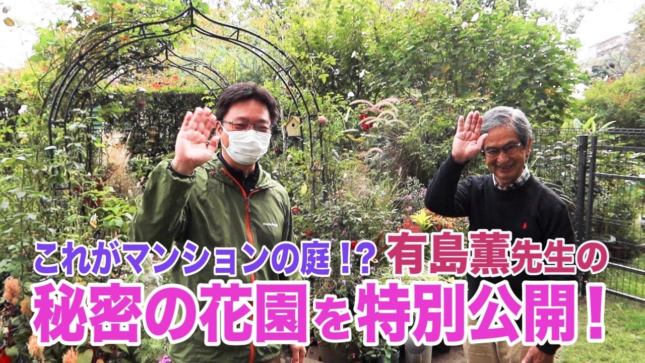 特別公開！有島薫先生の秘密のおもちゃ箱～ガーデンドクターTV55 RM