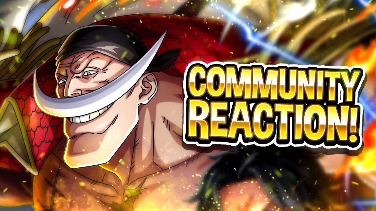 Community Reaction! OPTC's New Years Celebration!