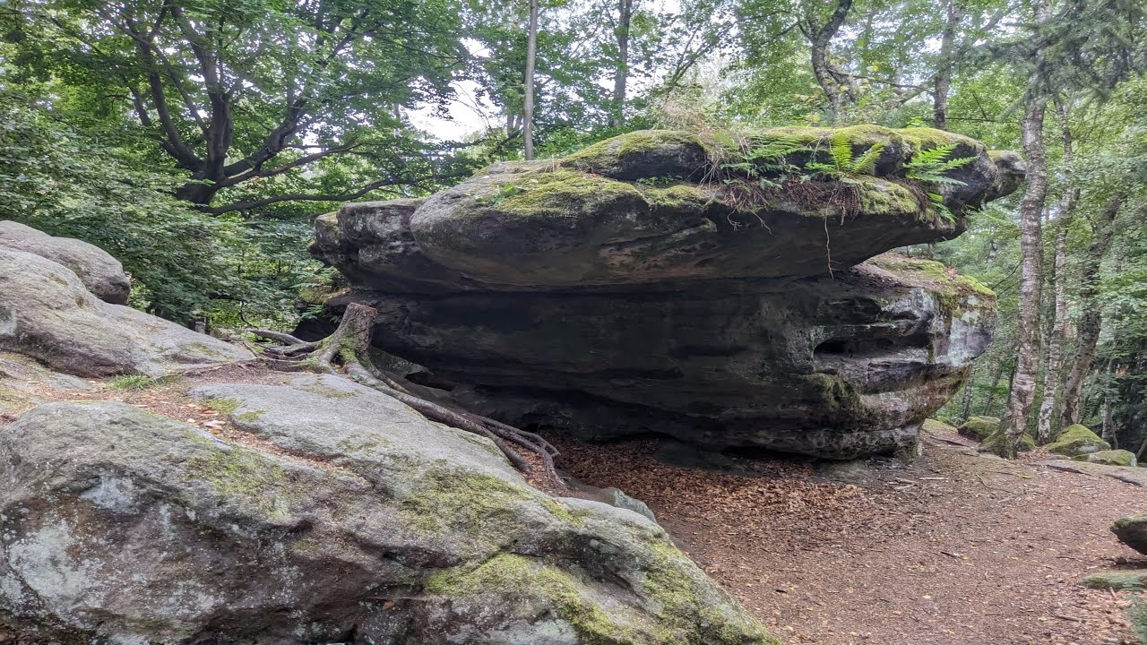 Sächsische Schweiz / Forststeigweg/ Elbsandsteingebirge  Wandern