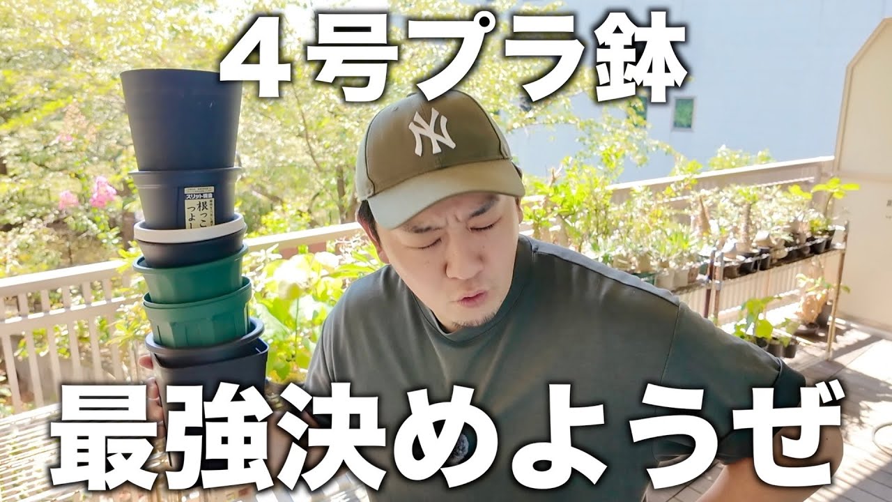 8種類の4号プラ鉢の比較、メリットデメリット好き勝手にレビューします