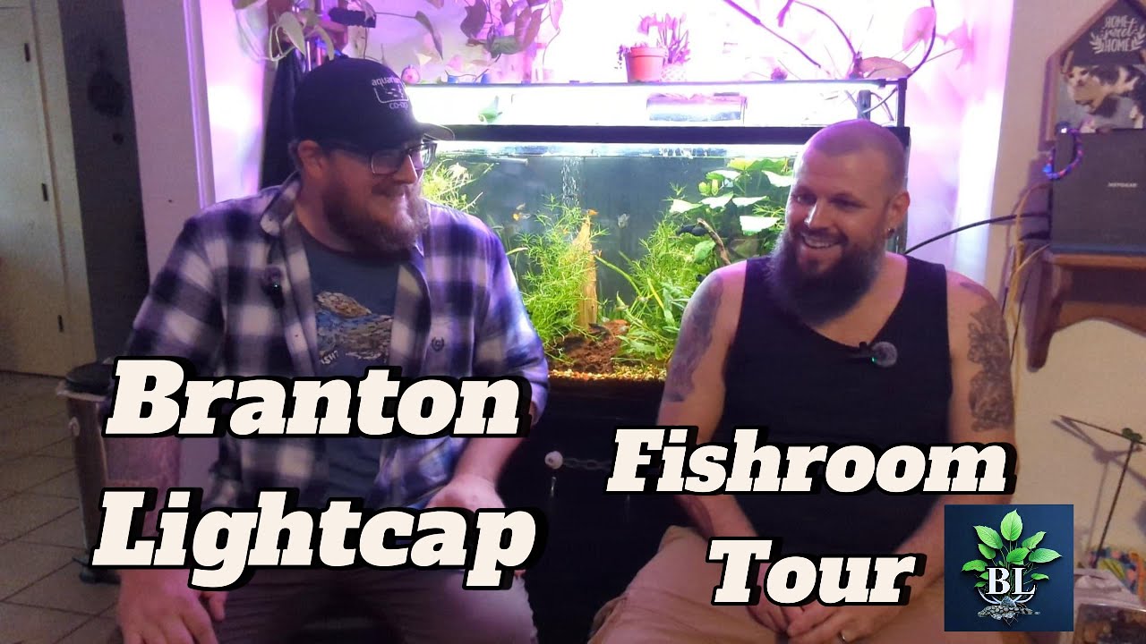 Branton Lightcap Fishroom Tour