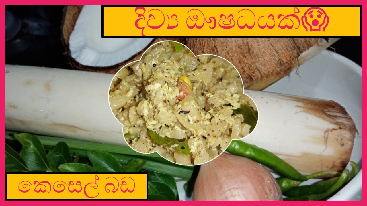 දිව්‍ය ඖෂධයක් කෙසෙල් බඩ😱😍 Banana Trunk😍 Episode - 04