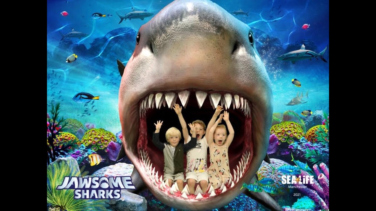 Hudson and Foxx go under the sea at The Sealife Centre Manchester
