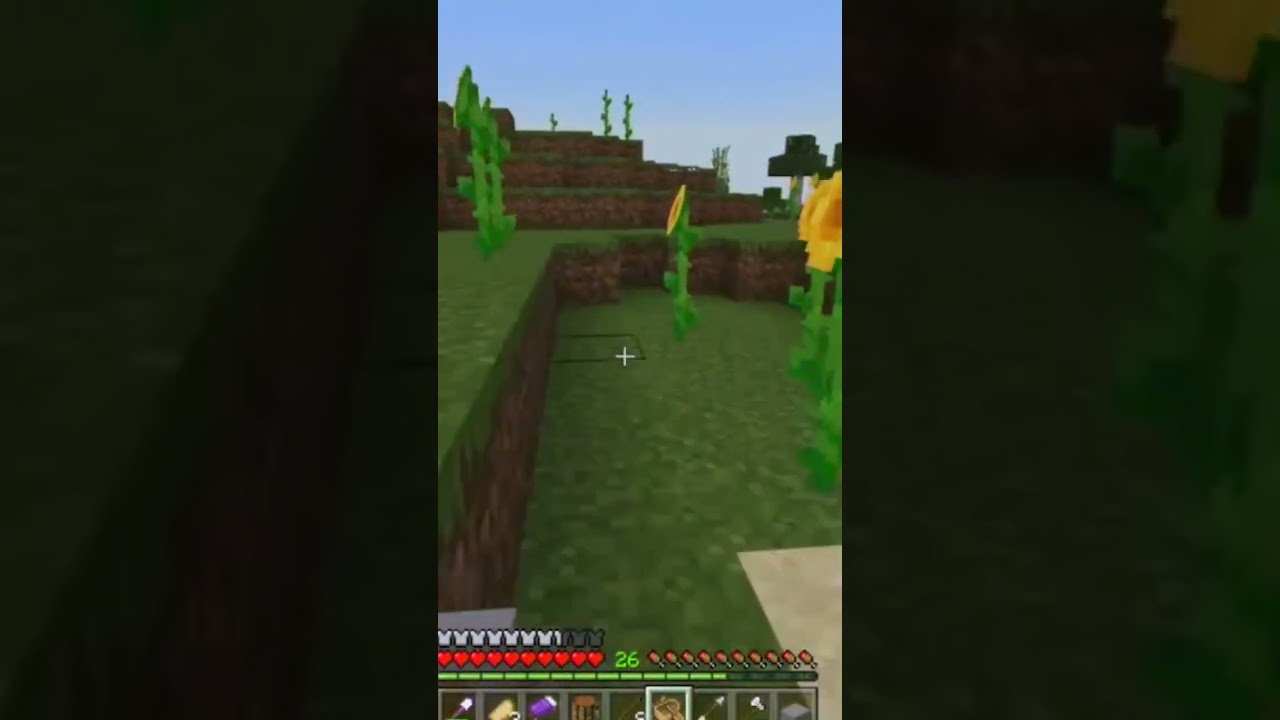 Trying to move Villagers is STRESSFUL!!!! 