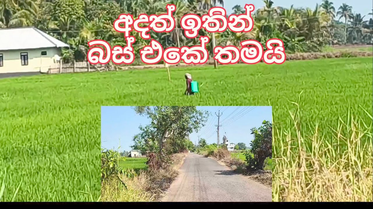බස් එකේ තමයි