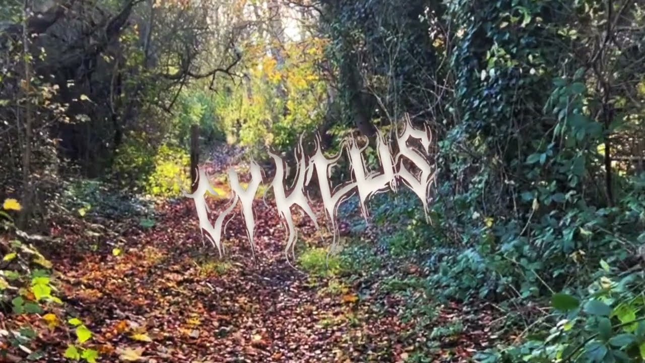 Cyklus