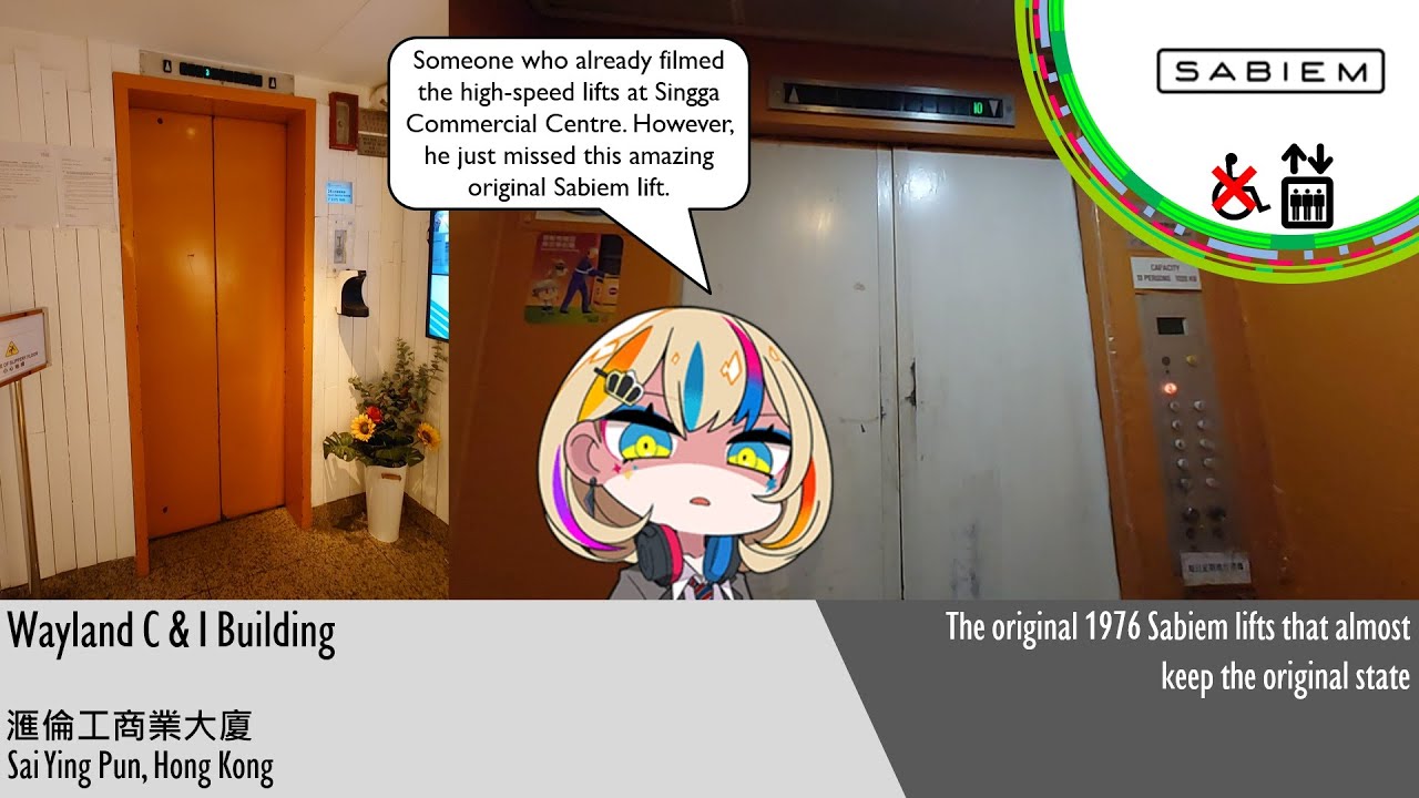 EPIC Original 1970s Sabiem Traction Lift at Wayland C & I Building, Hong Kong