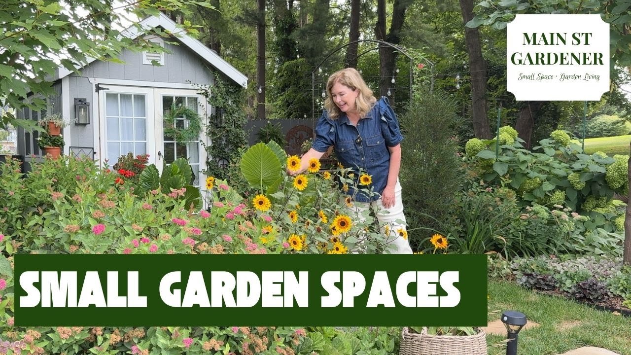 Small Garden, Big Impact: 6 Ways to Make It Beautiful through all seasons | Zone 7B |