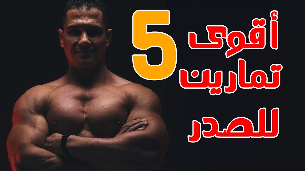 أفضل تمارين الصدر في الجيم للمبتدئين والمحترفين | شرح كامل من جيم كايرو