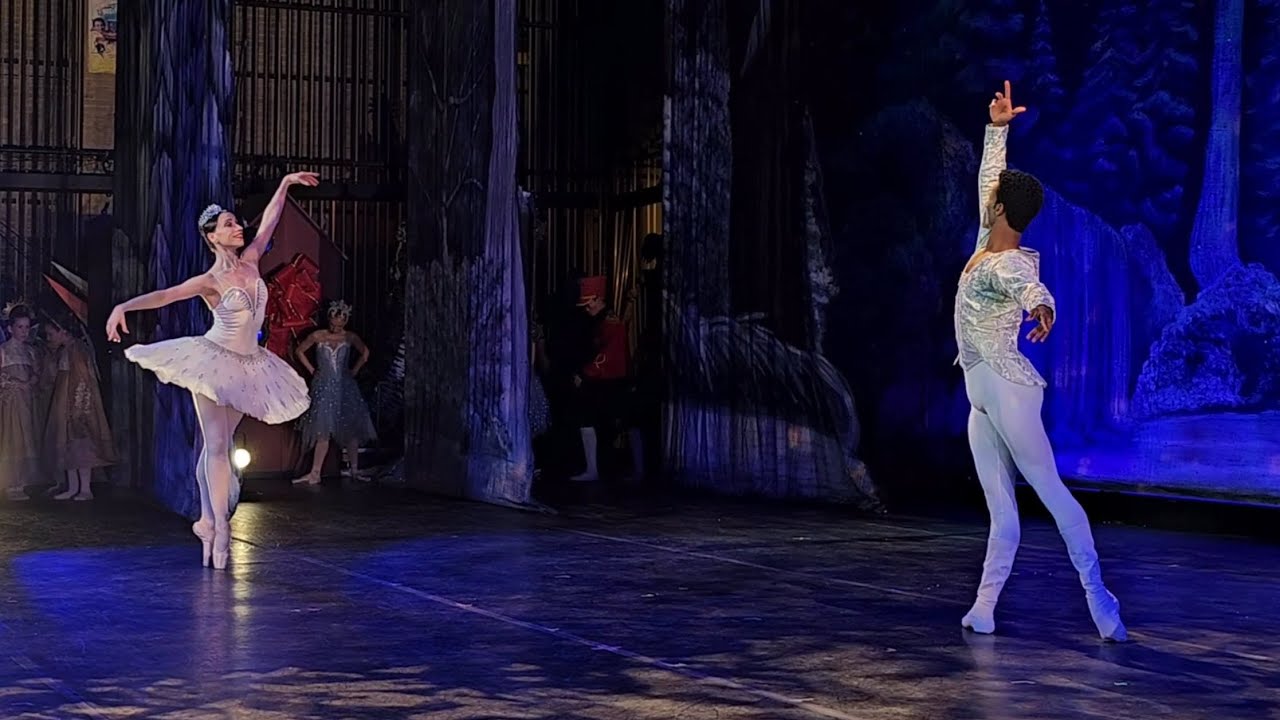 The Nutcracker - Snow Pas de Deux 