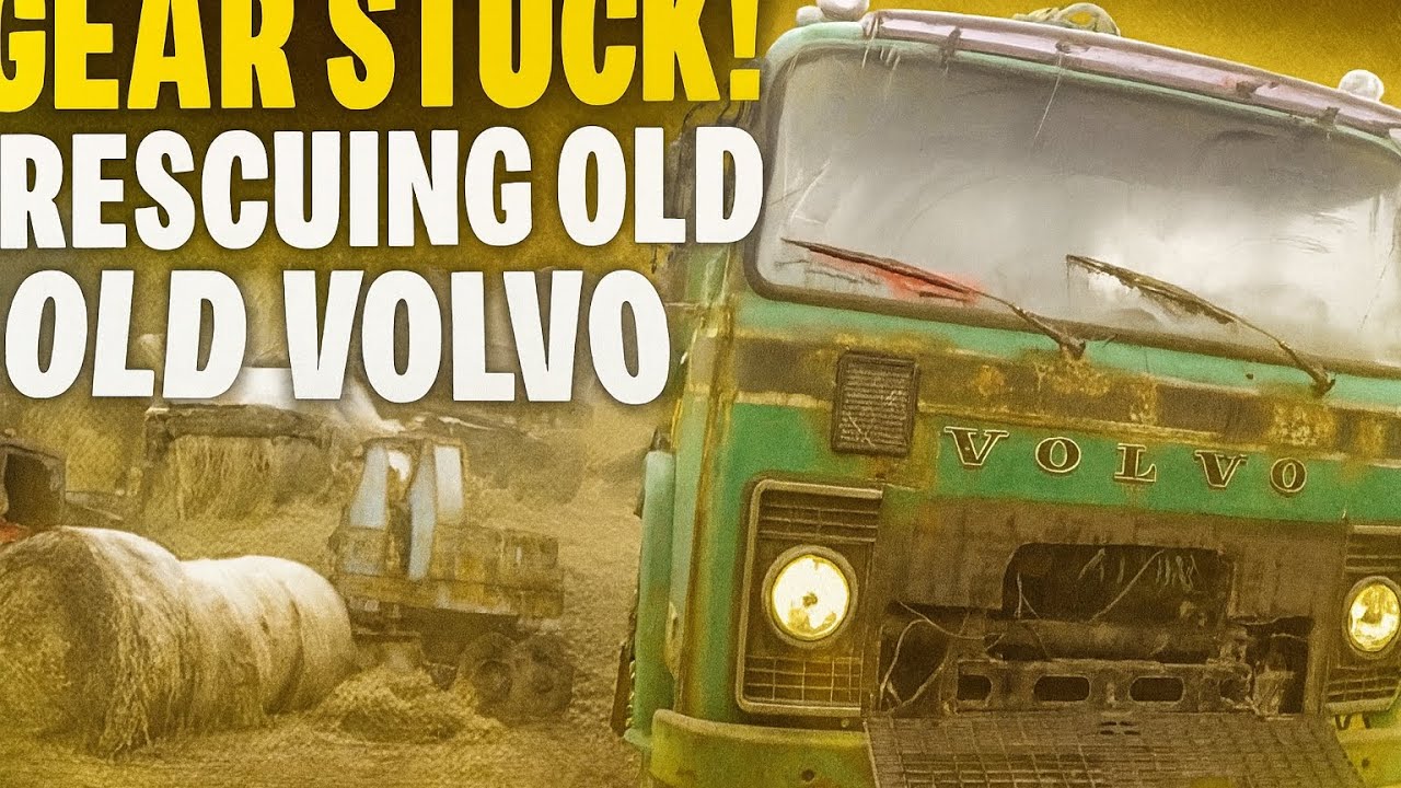 Will This Rusty VOLVO F87 Drive Again?  First Inspection, Big Problems and a lot of work.