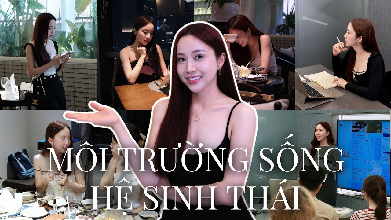 Vì sao bạn mãi chưa toả sáng dù đã rất cố gắng? | Điều bạn nhất định phải làm trong năm 2026