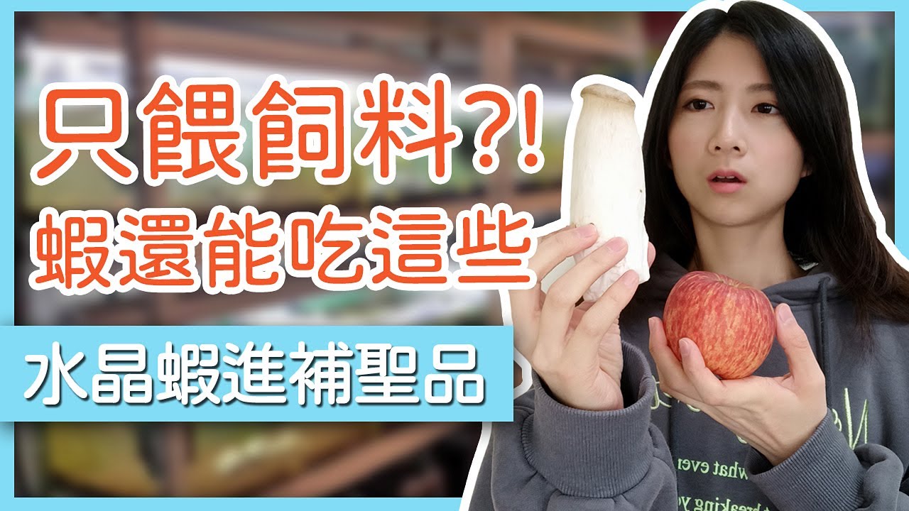 水晶蝦高蛋白補充品？餵食量影響母蝦抱蛋量？如何搭配食物讓蝦更強壯？｜蝦農人生