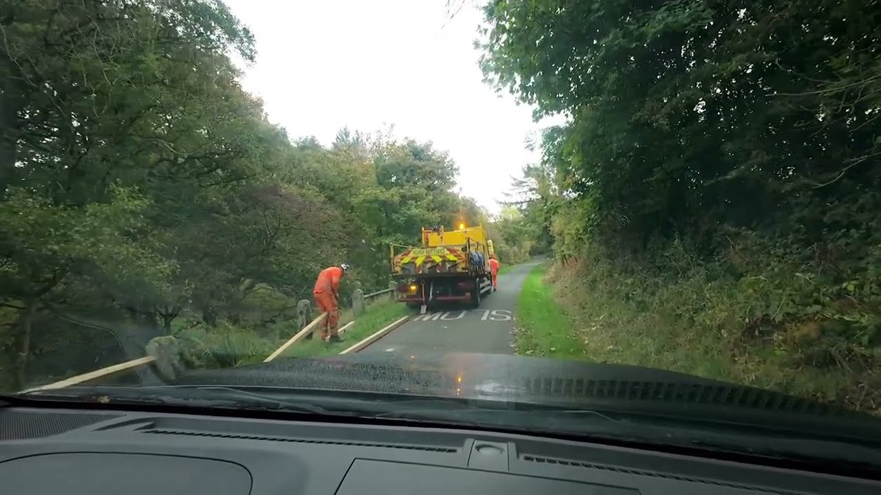 To Malton market with cull cows