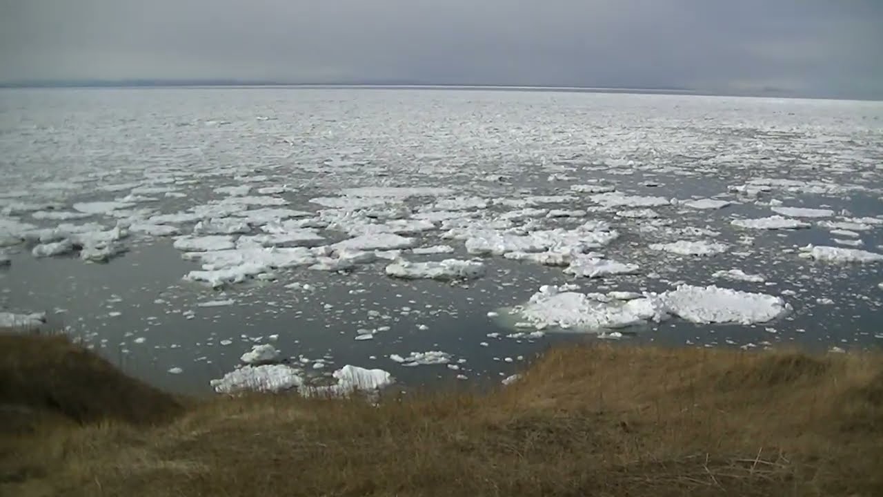 根室に流氷が　その4　国道脇「オカモト」スタンド裏より　2026年3月」15日