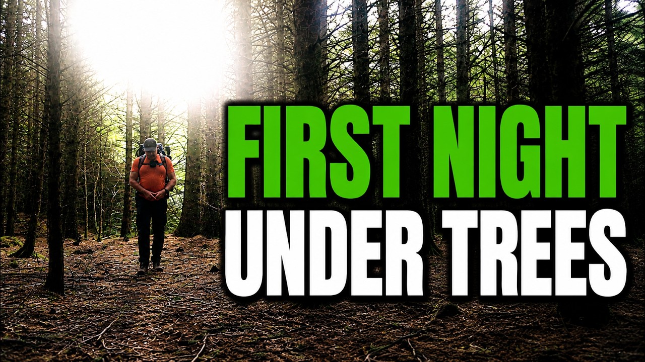 Plantation vs Natural Forest | Wild Camping Alone