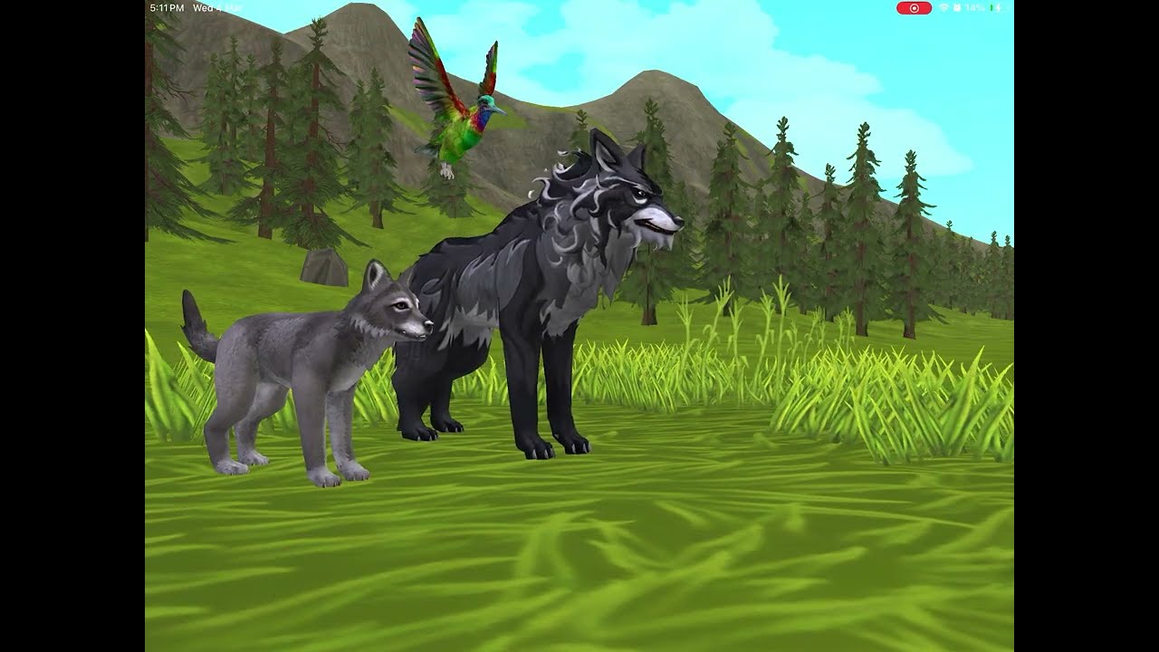 I played a wolf game 