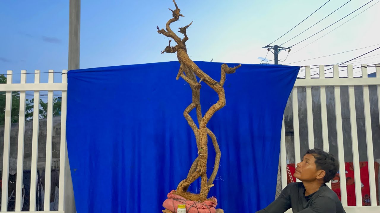 ₫ã bán))) M328... Ma dương quái . Xin gl đến cả nhà. Lh 0933529114 Tạo 