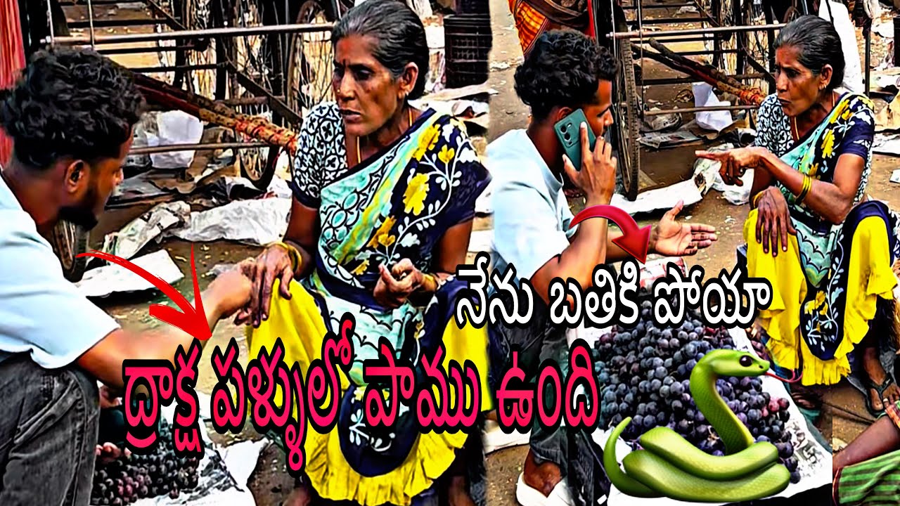 నాగుపాము ద్రాక్షపాలులో ఉంది నేను ఇదే సేఫ్ ఐపోయాను వీడియో లాస్ట్ వరకు చుడండి