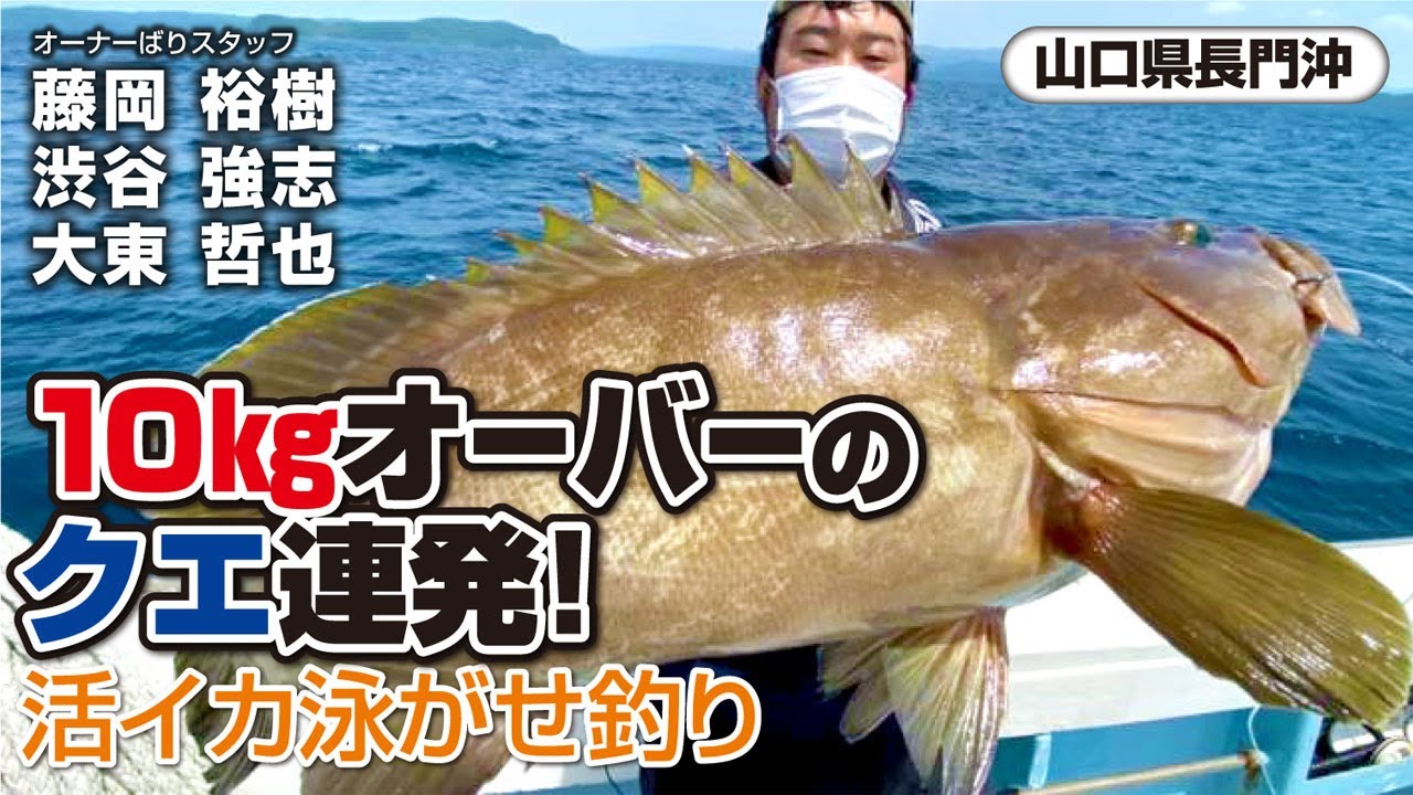 10kgオーバーのクエ連発！活イカ泳がせ釣り 【山口県長門沖】