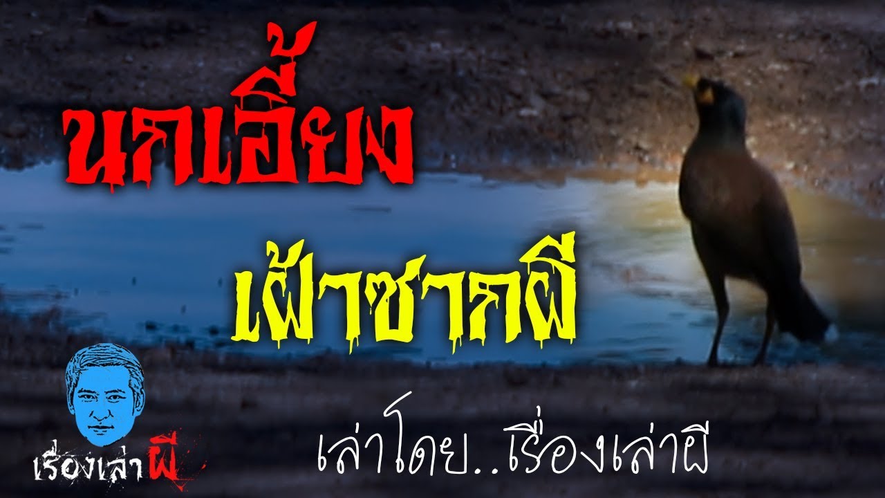 เรื่องเล่าผี ตอน นกเอี้ยงเฝ้าซากผี