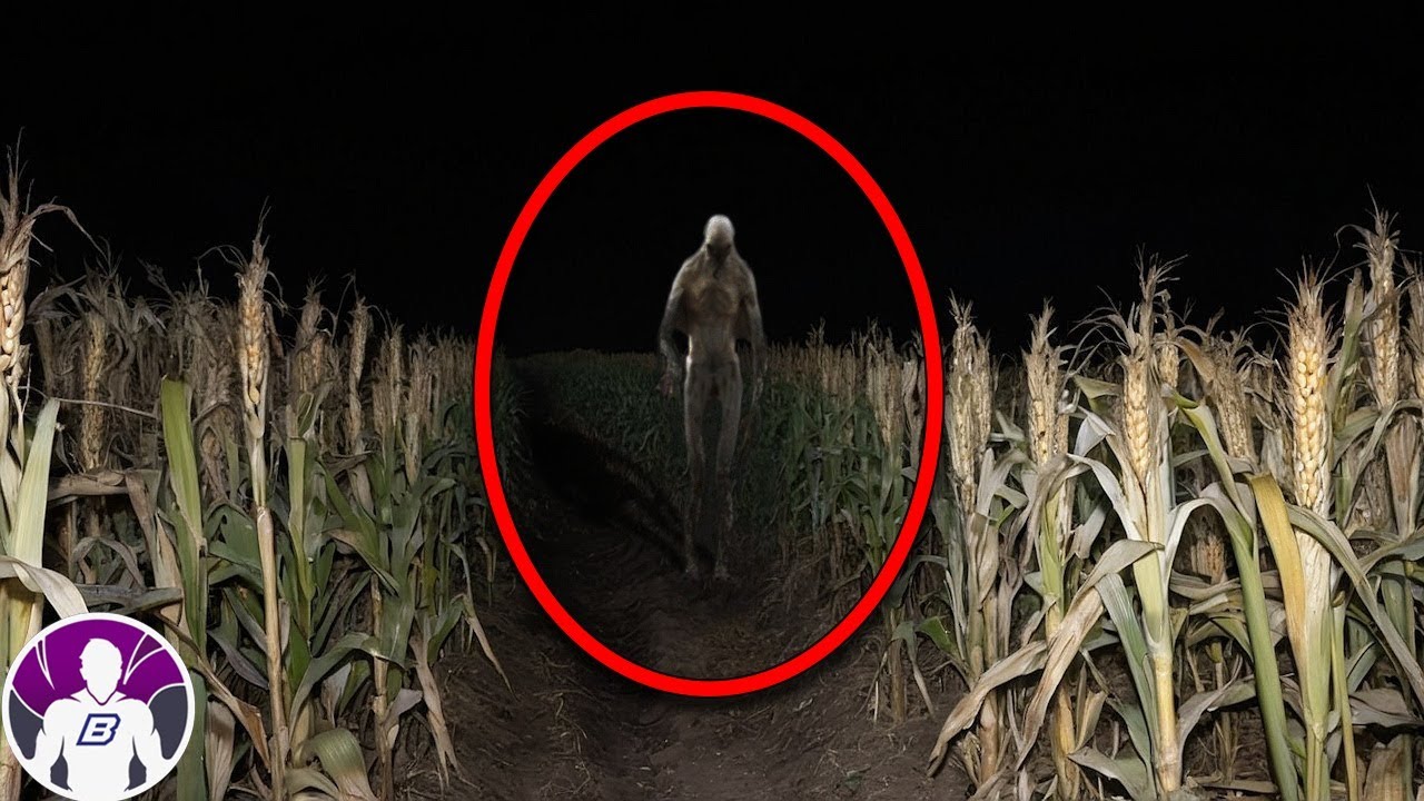Top 10 Vídeos De Paranormales Que Te Harán Cuestionar Tus Creencias