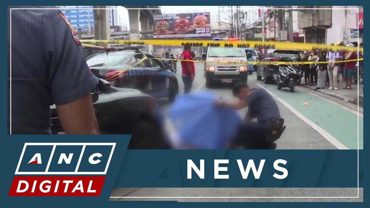 Napolcom seeks review of police traffic procedures after motorist held in LRT fall case | ANC
