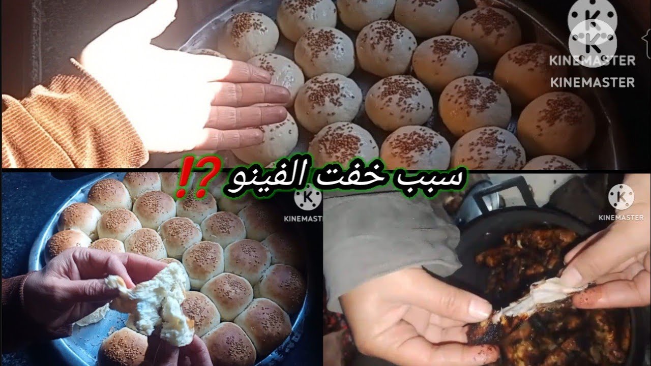 عملت من خلية النحل فينو للحشي 🌮 هش وخفيف 👌ربنا يعينا ويقدرنا ونسعد أولادنا 🥰