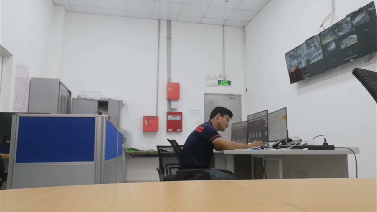 Lá thư mực mồng tơi. 