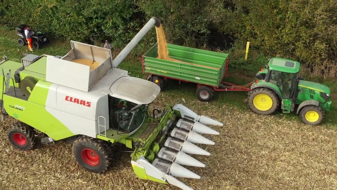 Claas Tucano 420 Mais Dreschen Körnermais corn threshing grain corn #claas #tucano