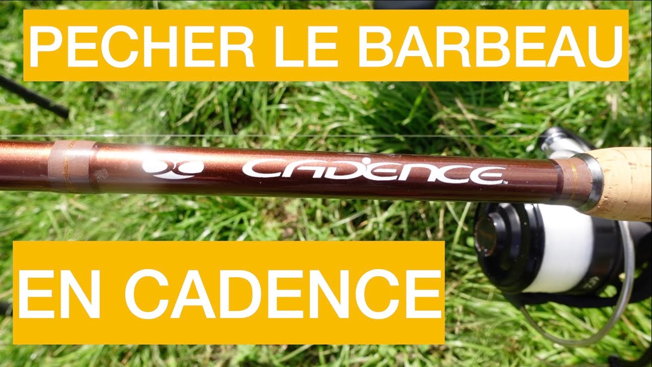 PECHER LE BARBEAU EN CADENCE!!    4K