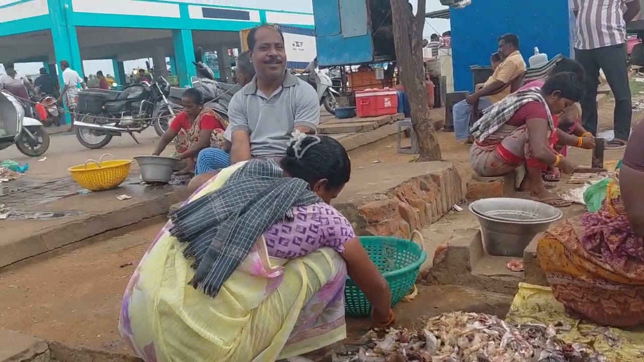 Nagapattinam Harbour Fish  🤤 😇🥰😍😍😍