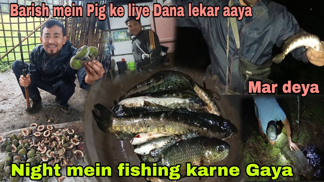Night mein fishing karne gaya//Barish mein Pig ke liye Dana lekar aaya 