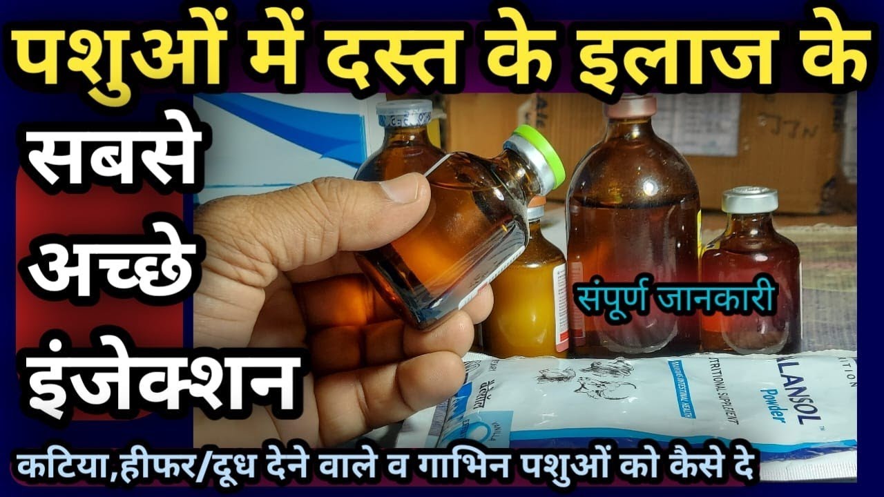 पशुओं में दस्त/डायरिया/मोक के इलाज के Best injection||Diarrhea, Dysentery ke injection