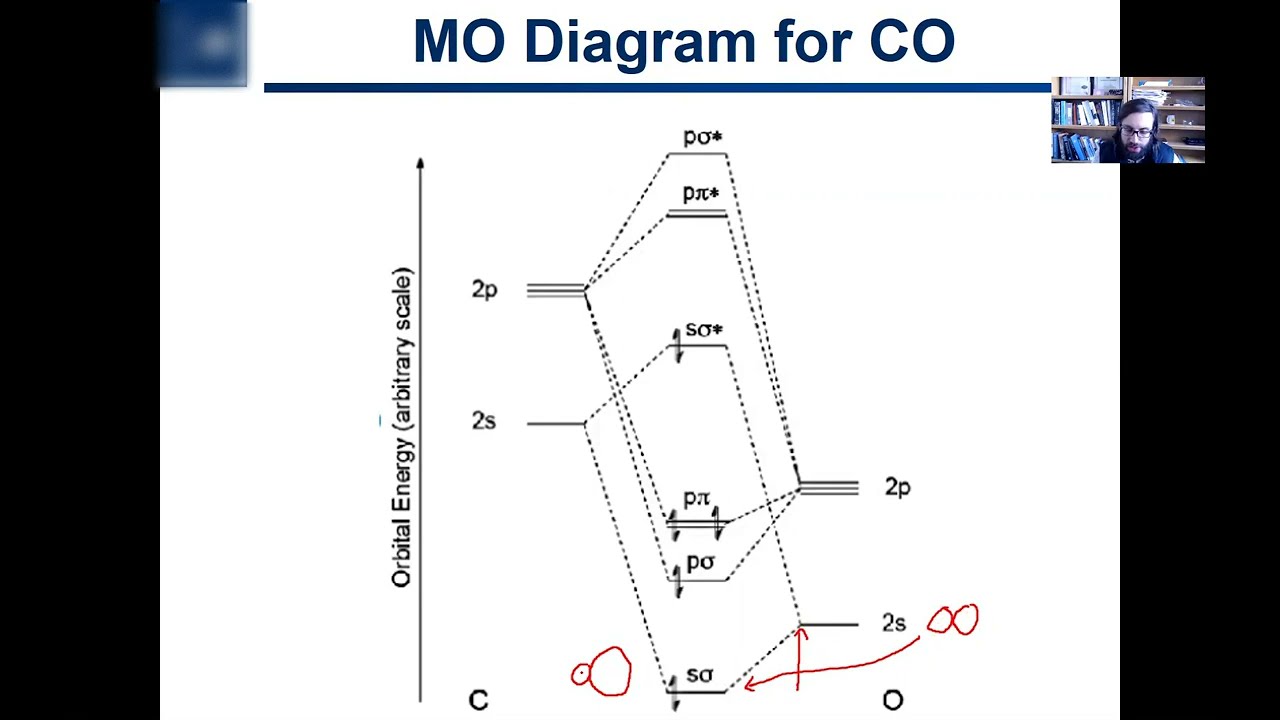 2.17. Molecular Orbital Theory for Heteronuclear Diatomics