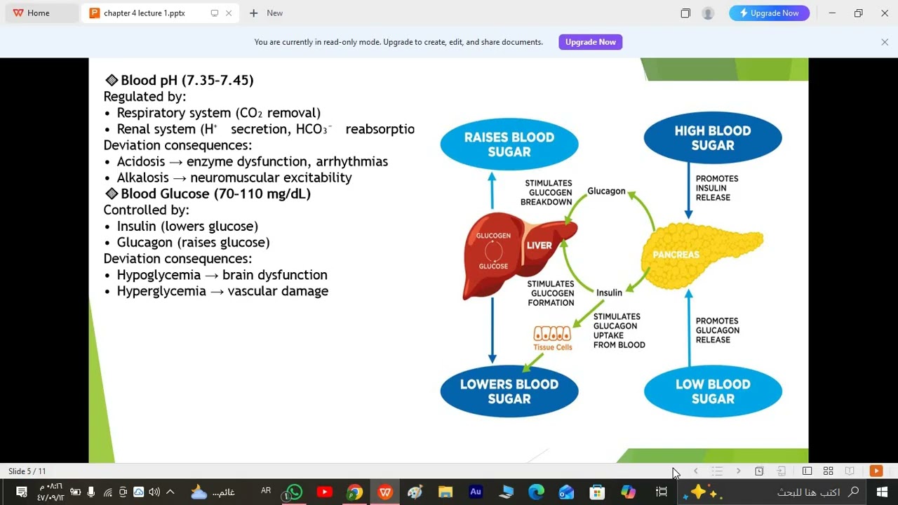 Foundations of Physiology