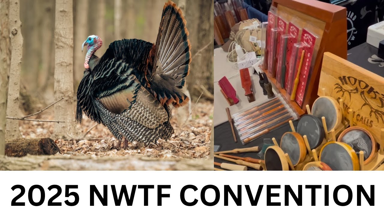 2025 NWTF CONVENTION TURKEY TURKEY #2025 #turkey #convention