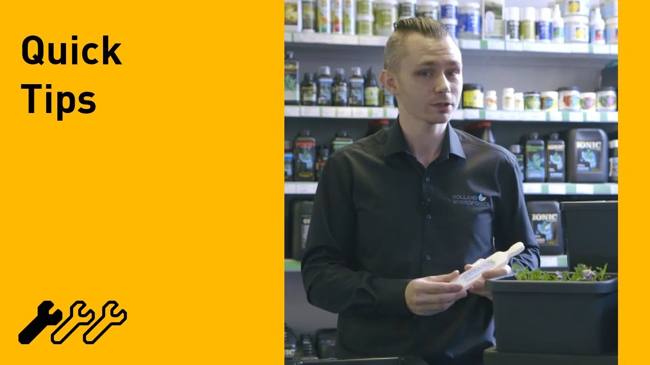 #12 - Hydroponic water temperature, with Michael from Holland Hydroponics