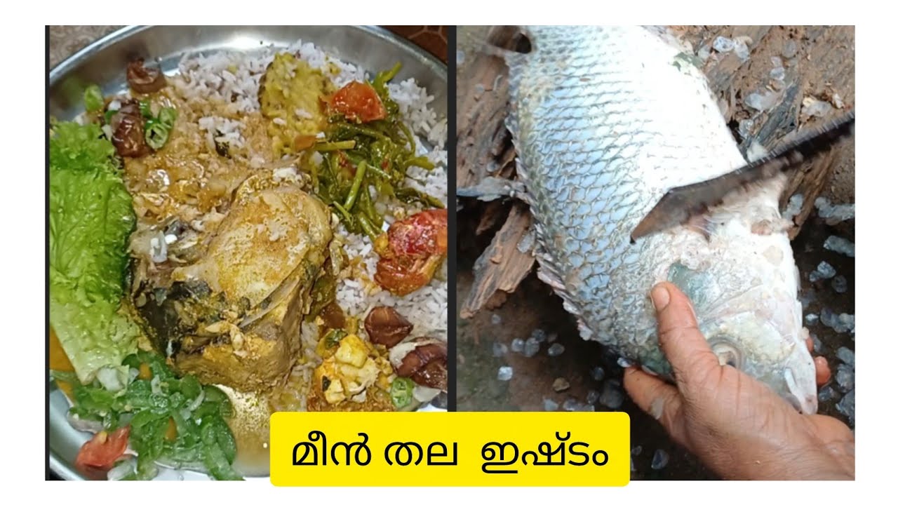 ഹെൽത്തി ശ്രീലങ്കൻ ഭക്ഷണം കഴിക്കാൻ പോവാ /പൊന്നാങ്കണ്ണി vs തിലോപി /നാഡൻ ശ്രീലങ്കൻ റെസിപി 👌👌👌🙏