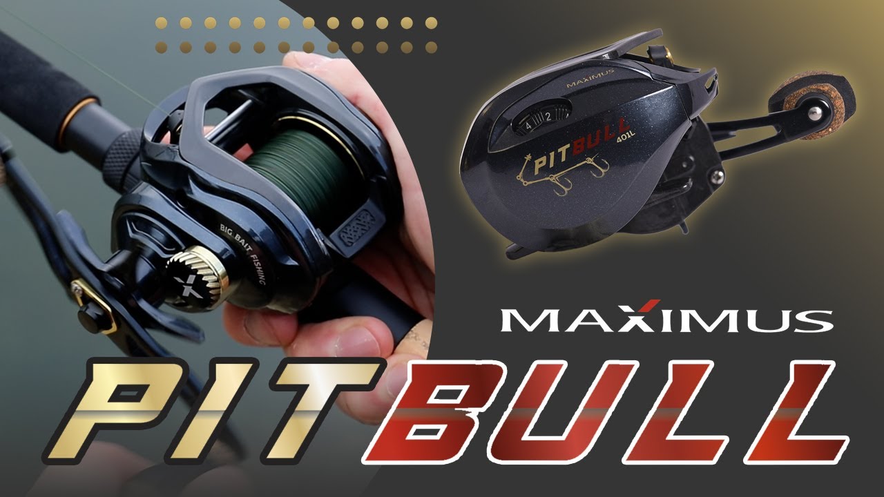MAXIMUS &laquo;Pitbull&raquo; новая катушка для ловли на Big Bait приманки.