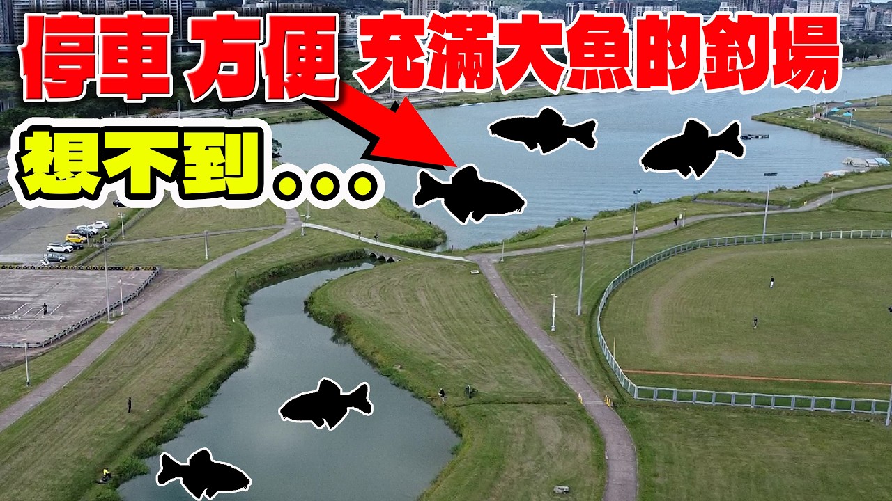 我的天啊 想不到停車方便 還有大魚的釣場 竟然是.........【漁樂爽報】Fishing Fun NEWS EP202  #釣魚 #路亞  #fishing