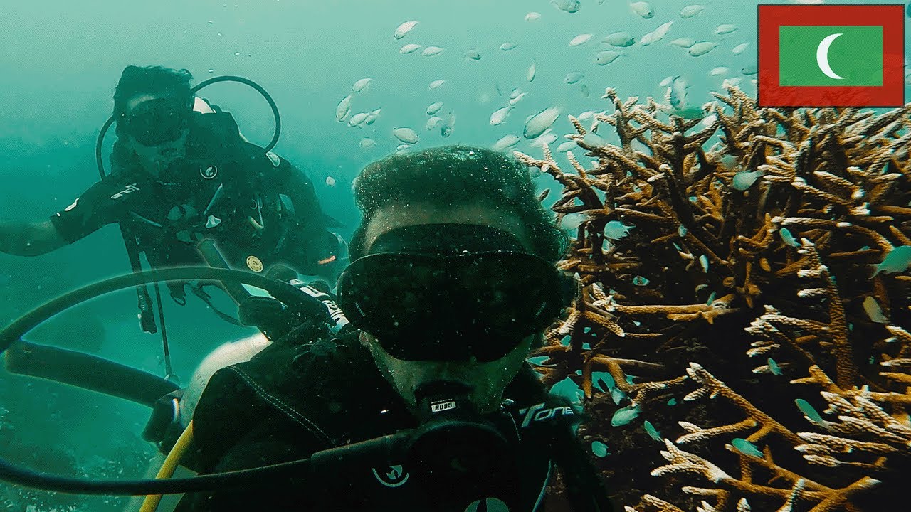 Scuba Diving in the Maldives - Maafushi Vlog 🇲🇻