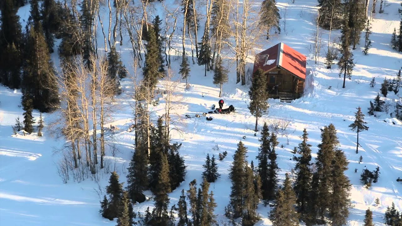 A look back: Iditarod 2014