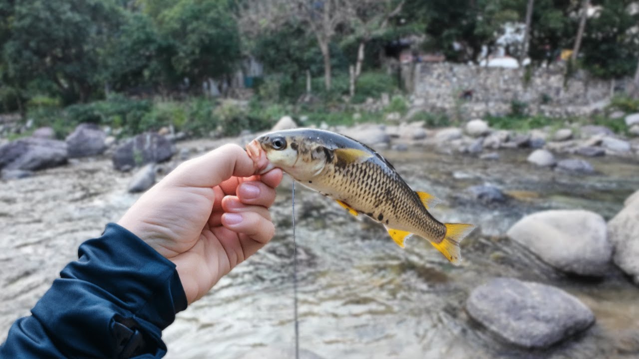 Captura épica en el río… y la que se me fue 👀🎣