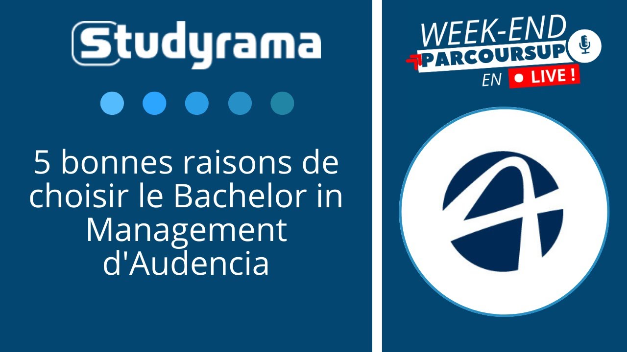 5 bonnes raisons de choisir le Bachelor in Management d'Audencia